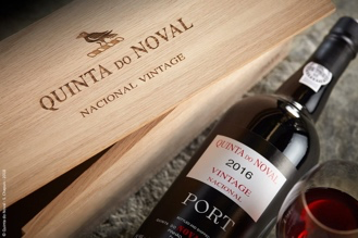 Compagnie Médocaine des Grands Crus — Pichon Baron, Suduiraut, Quinta do Noval, Terre Nere, Disznókő